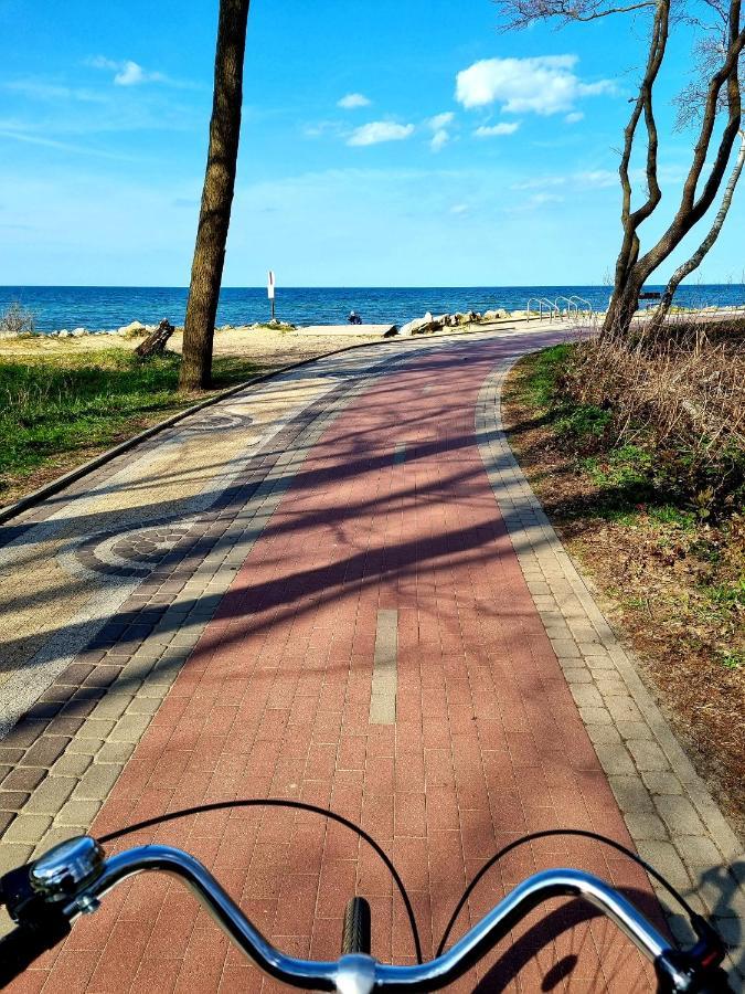 Seaside Czarna Mewa Kolobřeh